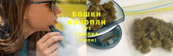 шишки Белокуриха