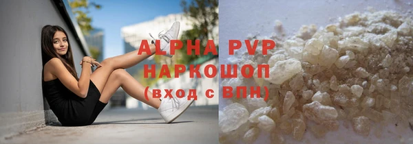 шишки Белокуриха