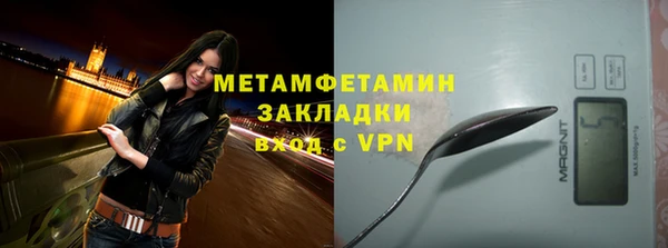 шишки Белокуриха