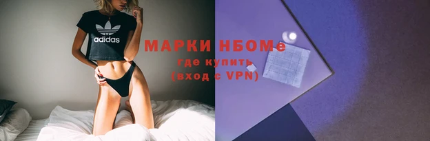 индика Беломорск
