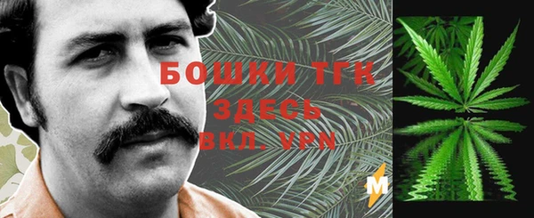 шишки Белокуриха