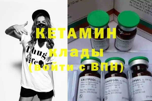 шишки Белокуриха