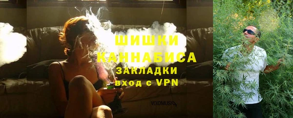 шишки Белокуриха
