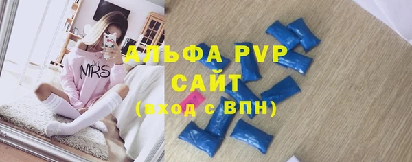 индика Беломорск