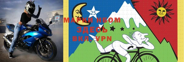 индика Беломорск